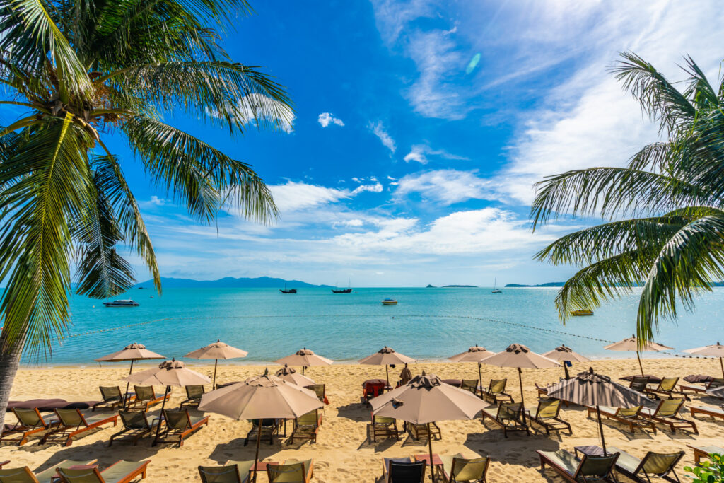 From Ocean to Table: Fresh Flavours of the Bahamas at Middle Cay